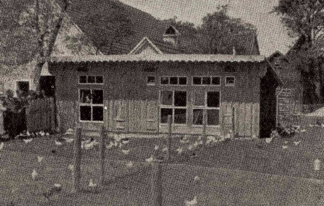 Kriegswichtige Kükenaufzucht